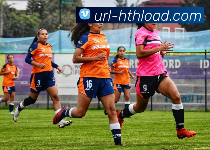 App Interface Preview